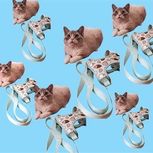 NWT Pusheen Cat Harness with Leash from Summer Cat Box